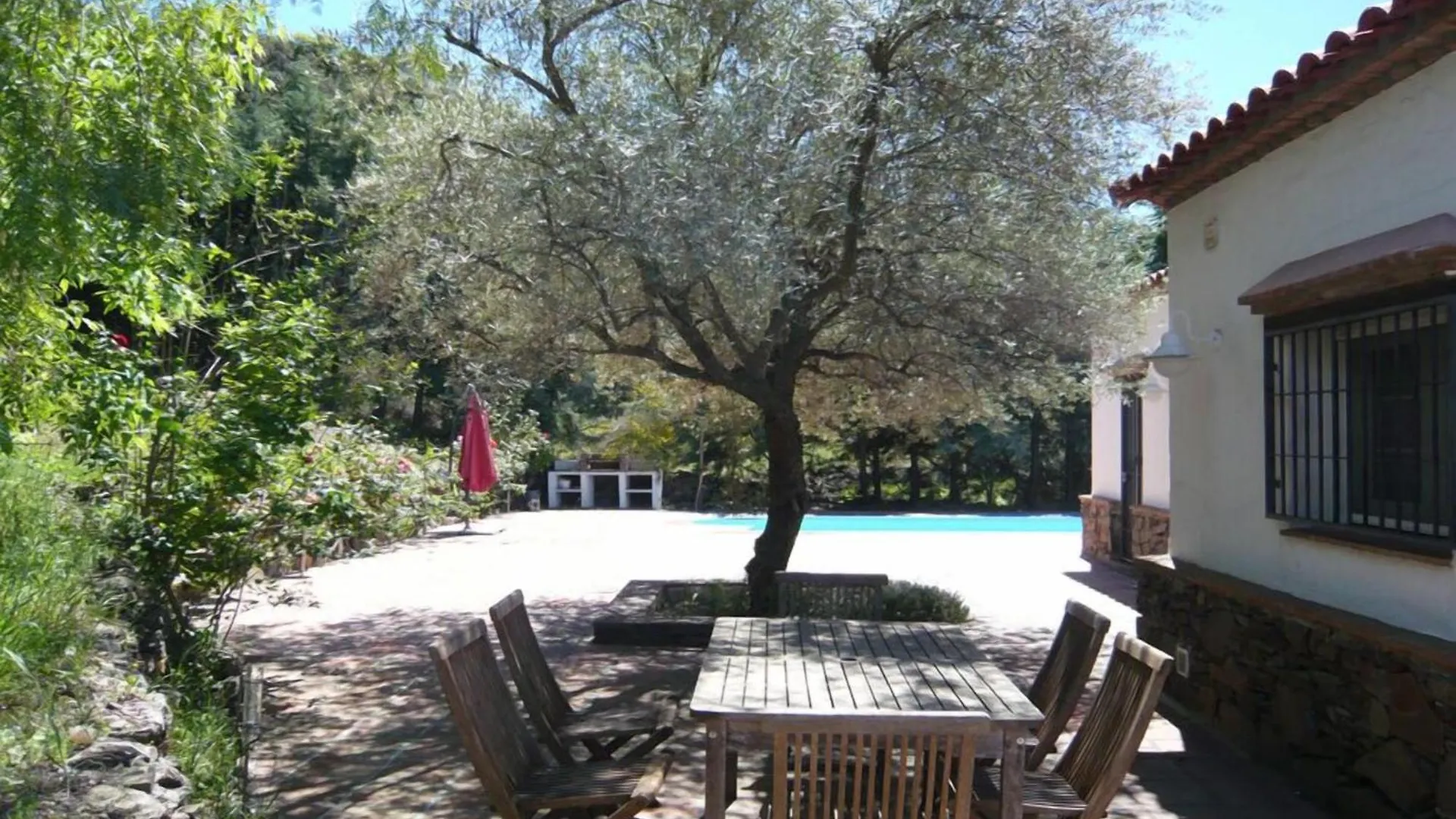 Los Olivos Sayalonga