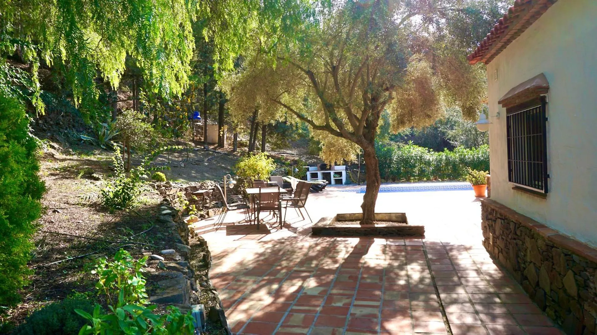 Los Olivos Sayalonga Apartmán