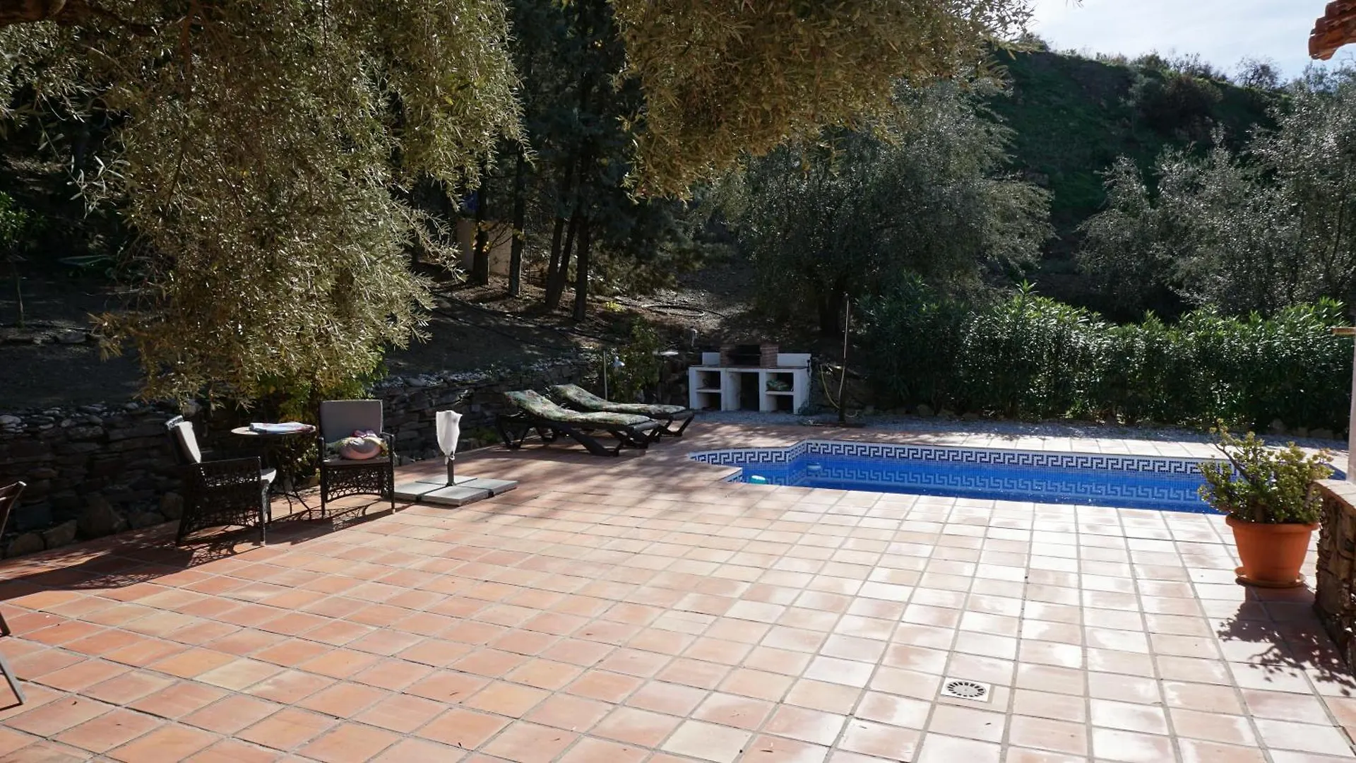 Los Olivos Sayalonga