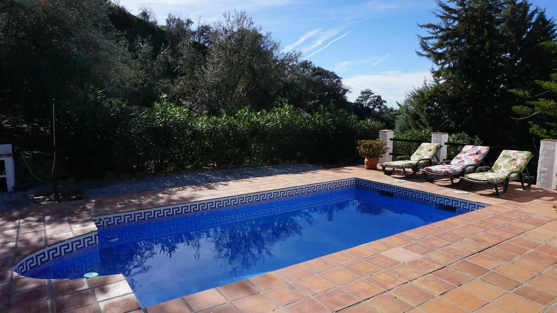 Apartmán Los Olivos Sayalonga