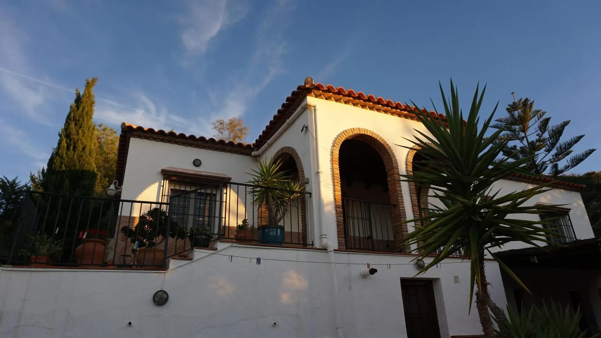 Los Olivos Sayalonga